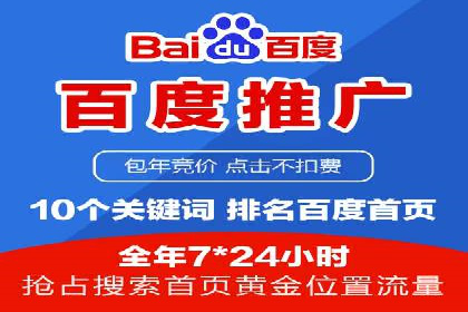 SEO与SEM融合策略：成功案例解析